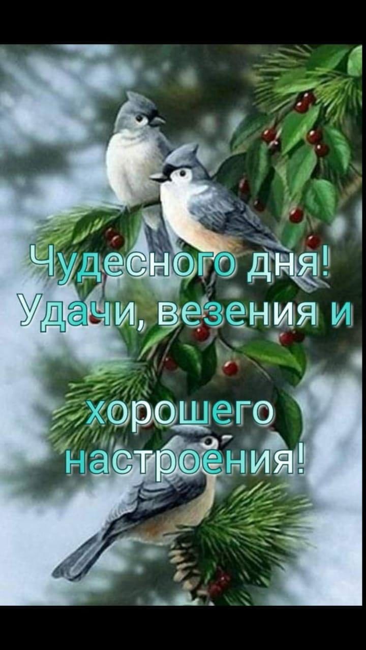 _ ши вёзенмт