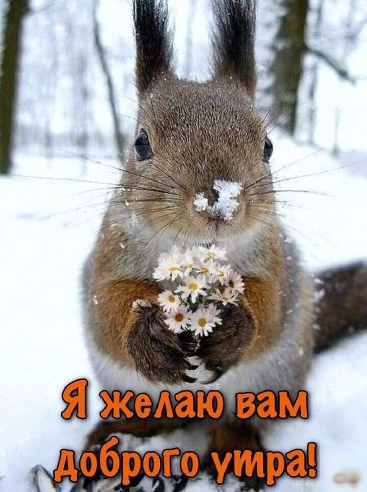 д7рі_3г_ута
