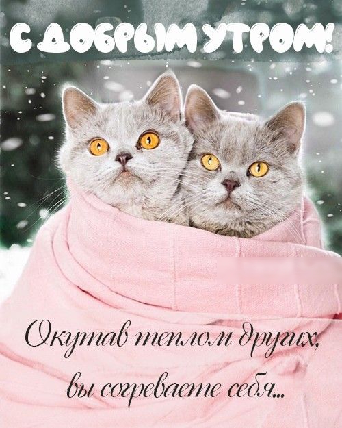 4 _ Уттаб житии ХВДЁЁЛЛИЗ гей