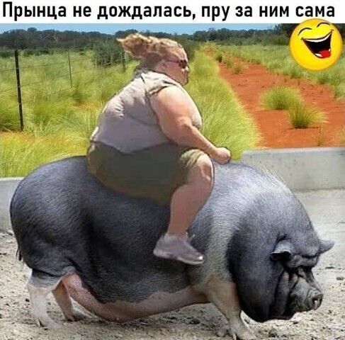 ПРЫНЦЗ не дождалась ПРУ за НИМ СНМЗ