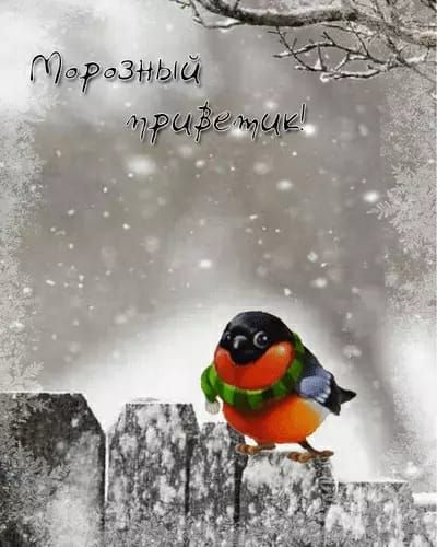 Пдныф