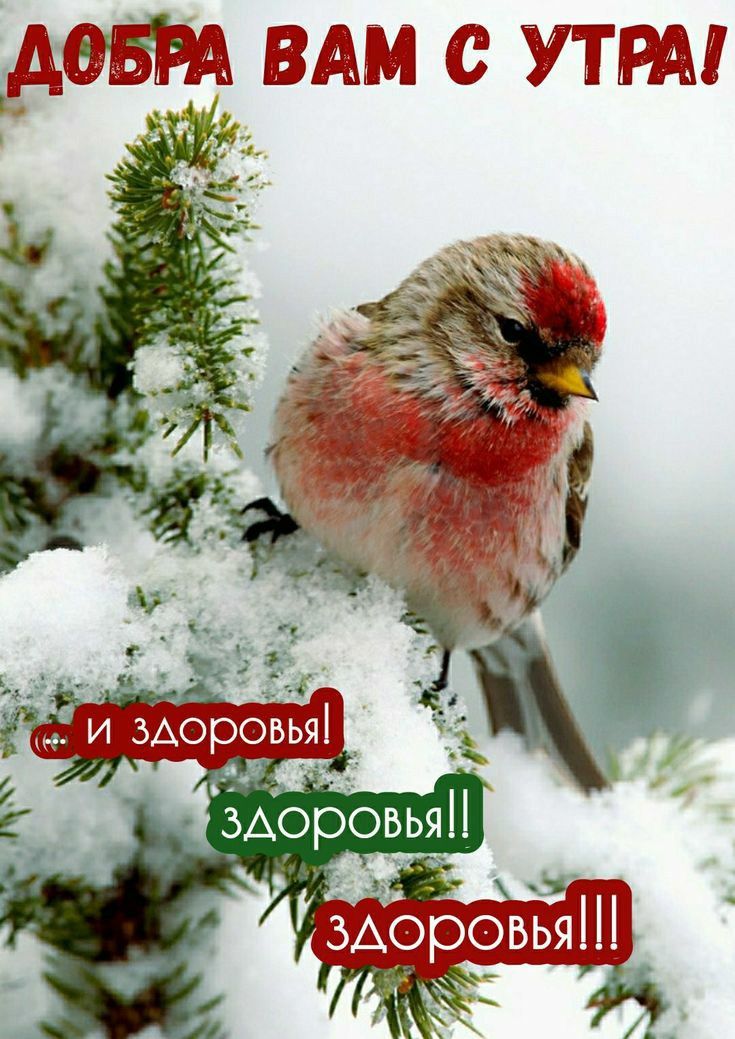 девы вдм УТРА