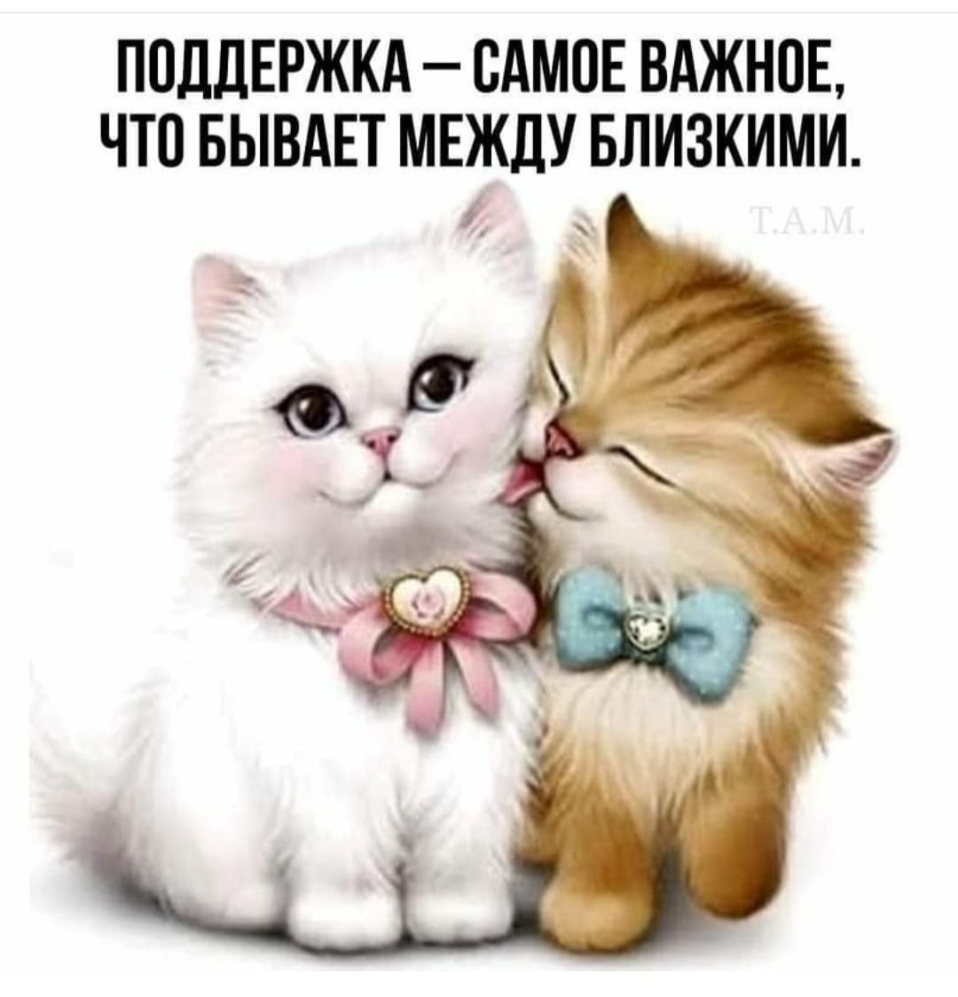 ПОДДЕРЖКА САМОЕ ВАЖНОЕ ЧТО БЫВАЕТ МЕЖДУ БЛИЗКИМИ и