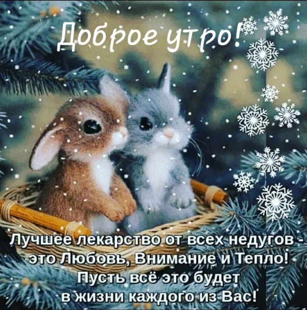 ЛЕКЗТВОЮТ сехцнедм Эй маниеиТеп