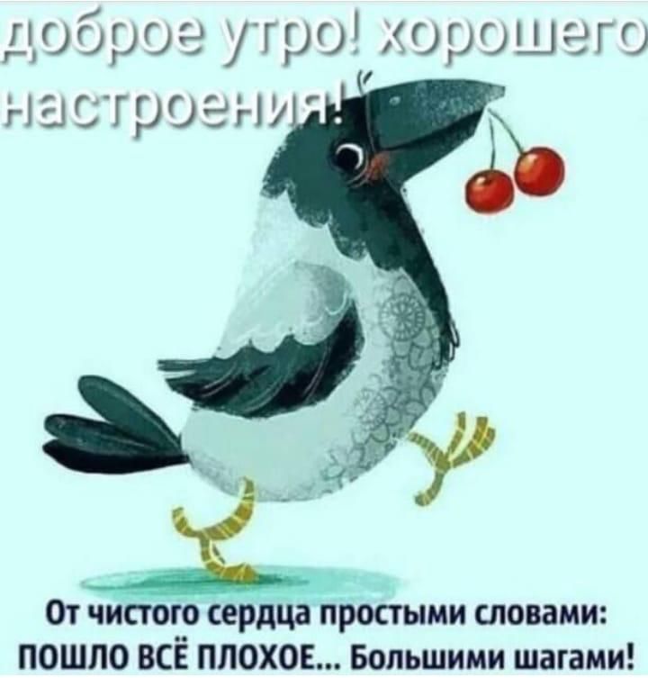 доброе утро хорошего От чистого сердца простыми словами пошло ВСЁ ПЛОХОЕ Большими шагами