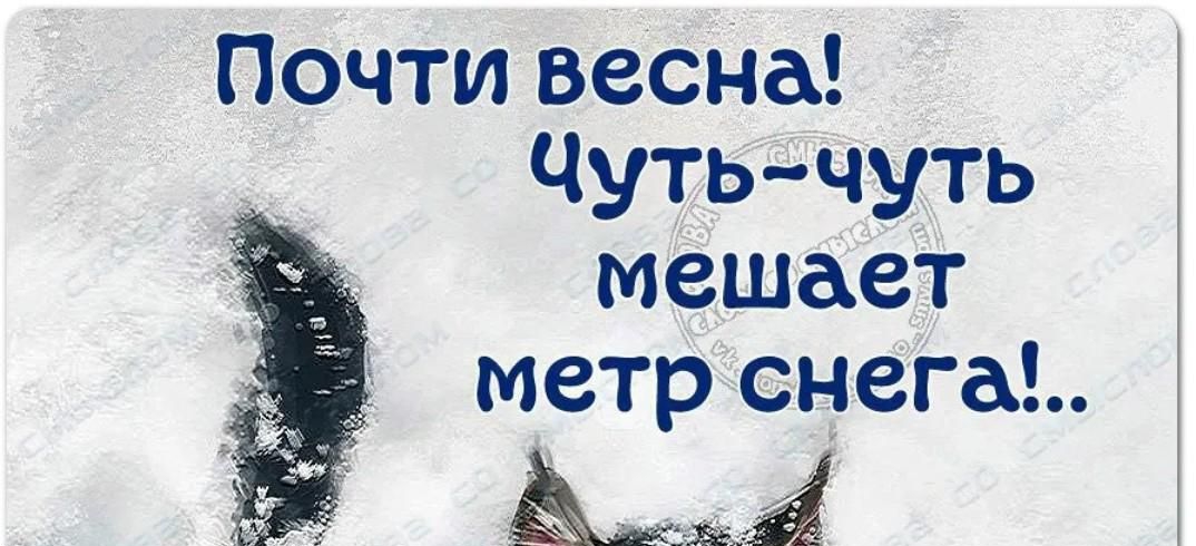 Почти весна Чутьчуть мешает метр снега