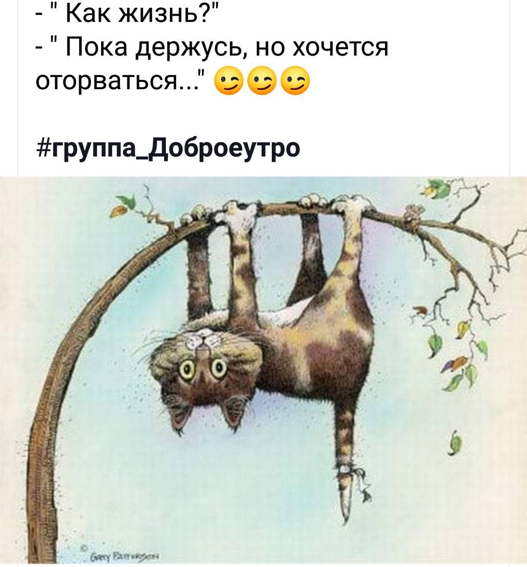 Как жизнь Пока держусь но хочется оторваться 60 группа_доброеутро