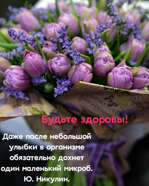 в небольшой улыбки ганизие обязателыошет один малень микроб ю Нику