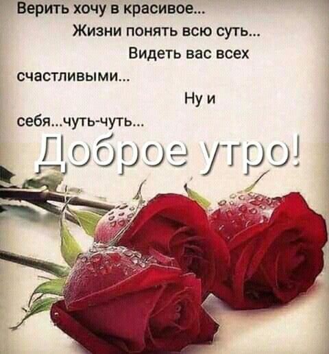 Верить хочу в красивое Жизни понять всю суть Видеть вас всех счастливыми Ну и себячуть чуть ь ЭЮЗОЁГЧО