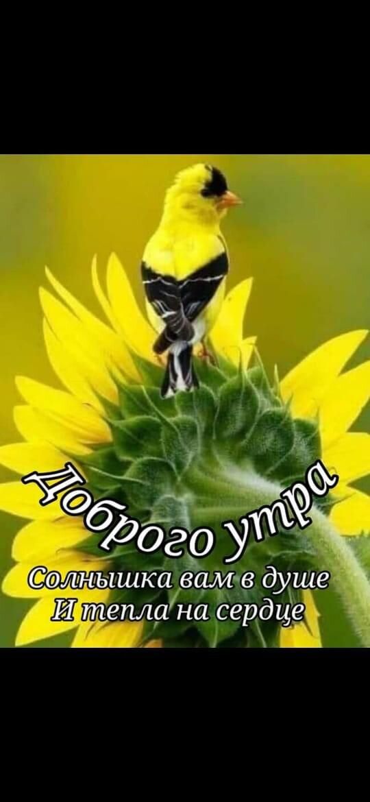 лнышка Вам в душе И тепла на сердце _