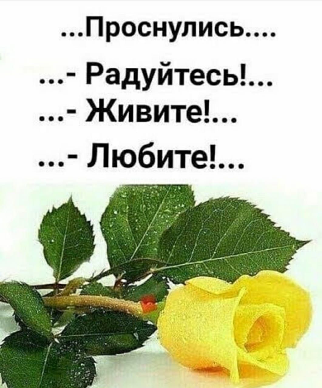 Проснулись Радуйтесь Живите Любите
