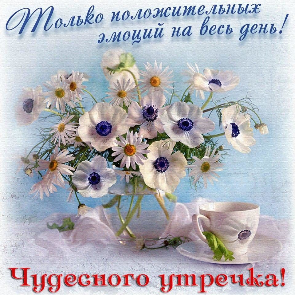 0 ь__Ё0 иолджцтельнще щии на 59 Ёень