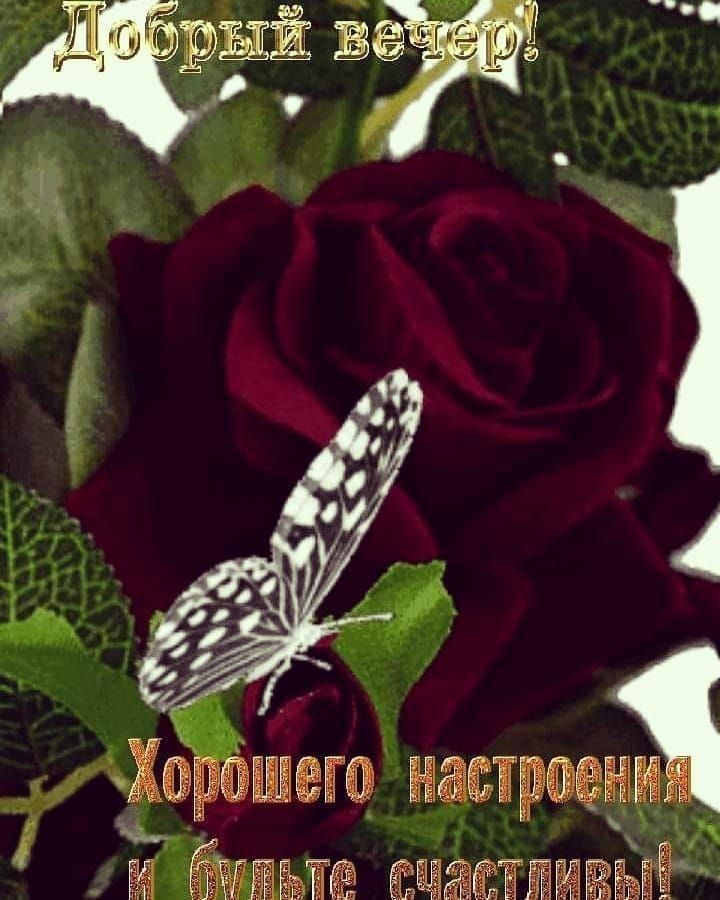 а и Шен натрием ч ЁЁЁЁЁЁЁЁЁЁЁЁ