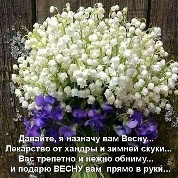 Нч 10 _д дйвайте я назначу вам4Весну ЛеКЁРСТВО ОТ хандры И зимней скуки Вад трепетно и нежно обниму и подарю ВЕСЫ мк прямо в руки