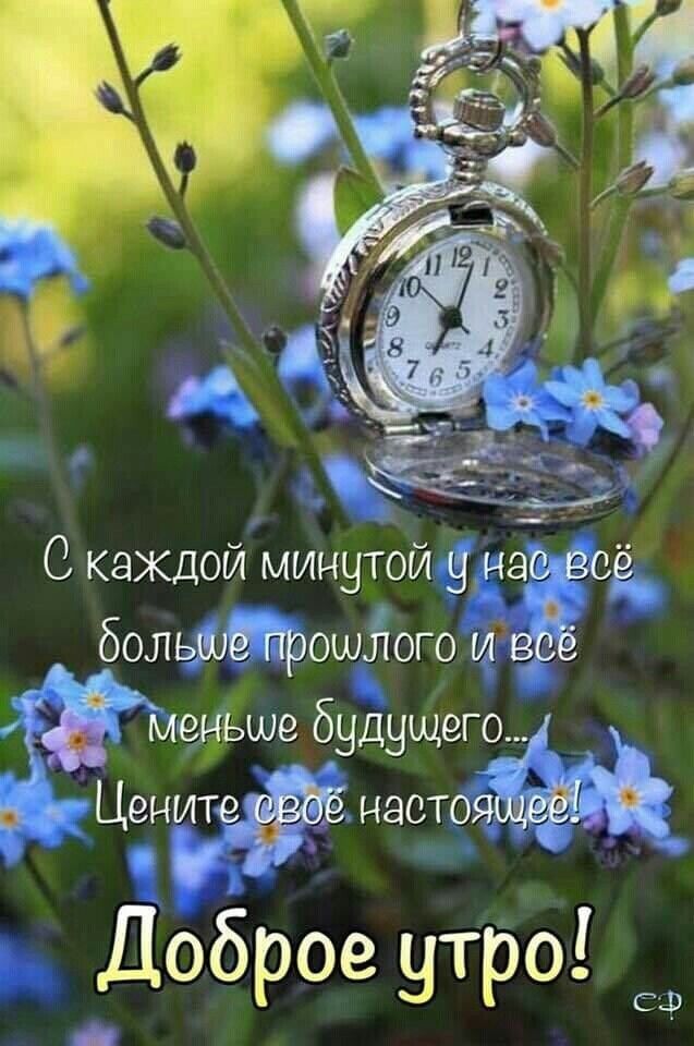 С каждой минутой у нас всё больший прошлого и воё ЁЁ меньше будущего Ценитеёё наотояшдё Доброе утрощ