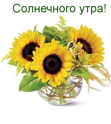 Солнечного утра