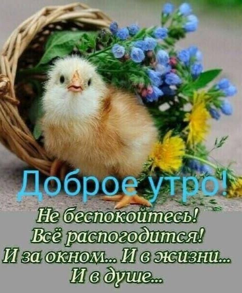 и Ш_Ш
