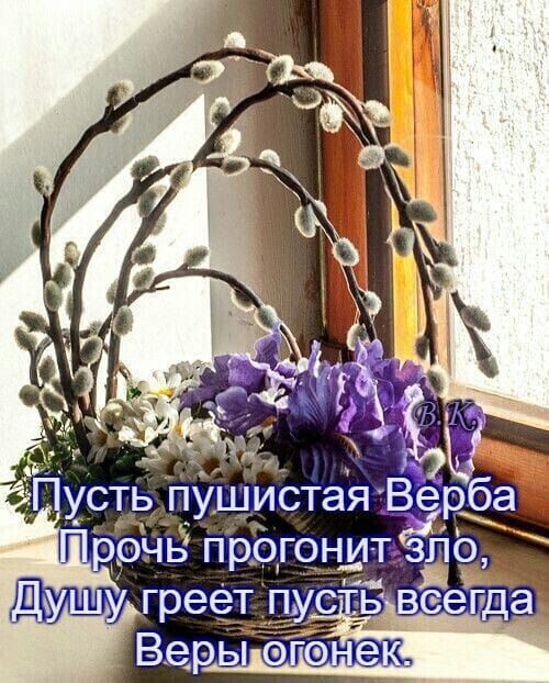 Пусть пушиста Прочь прогон