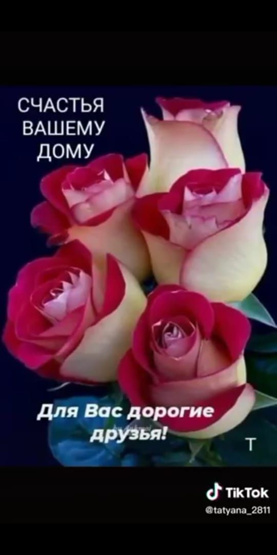 СЧАСТЬЯ вдшвму дому тжток Фигу міг