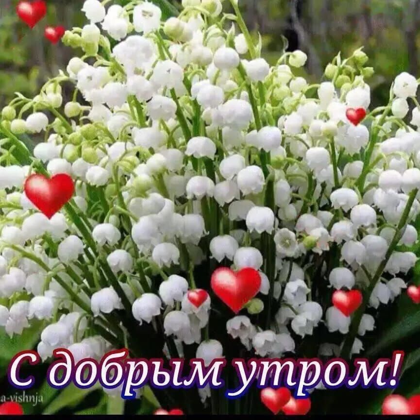 м Ёымутромі