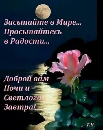 Засыпайте в мире... Просыпайтесь в радости... Доброй вам
