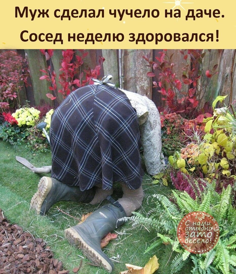 Муж сделал чучело на даче