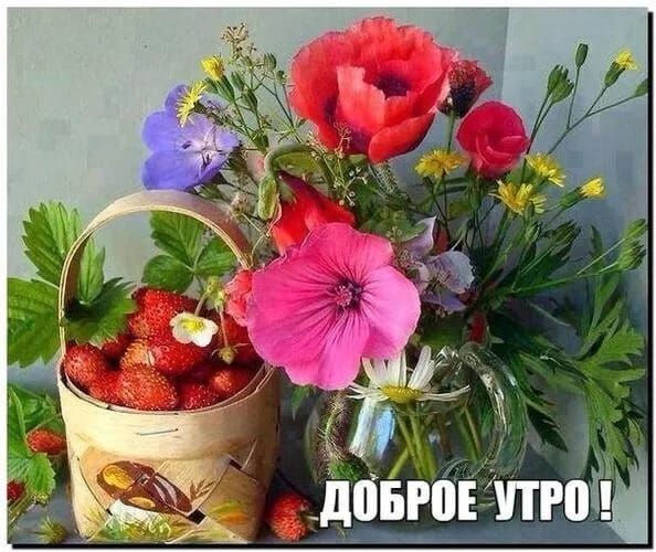м бёпюё! Добр