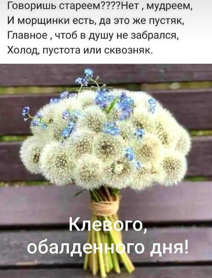 Говоришь стареемНет мудреем И морщинки есть да это же пустяк Главное чтоб в душу не забрался Холод пустота или сквозняк