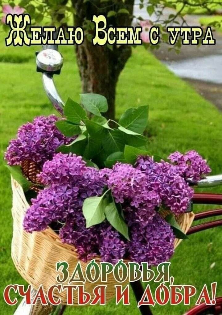 _ АЖ АлАю ВсАм 01