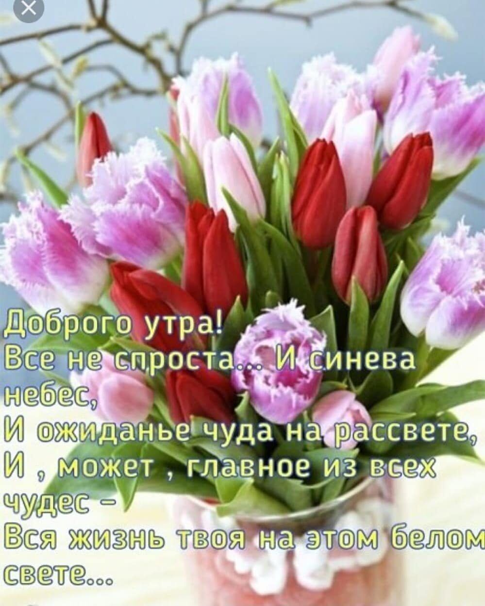 Всж Ж тв щ ВЁ