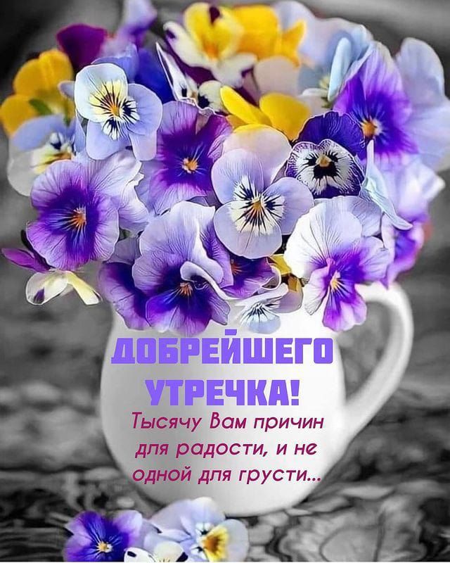 Тысячу Бом причин для радости и не дней для грусти