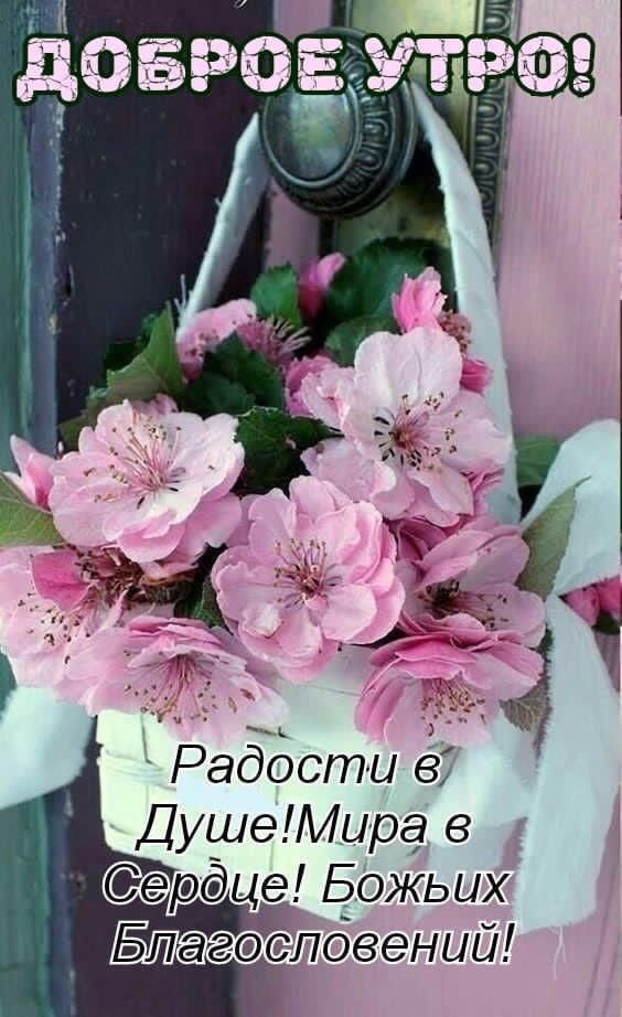 к д Радости в ДушаМира дц Божьих БЮаг сдлбвений