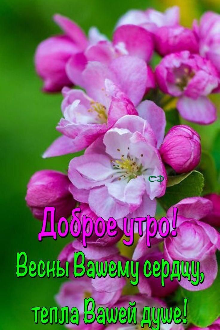 Беон