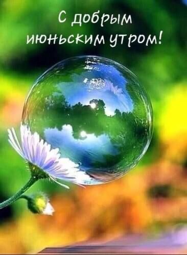 С добрым июньским утром