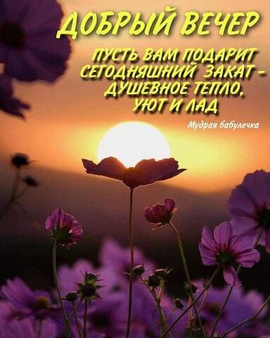 г ил 757 11 заЫ 914711 лапши
