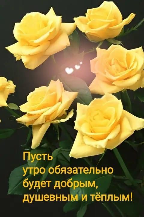 Утрообязательно рым, бу дет до  г 