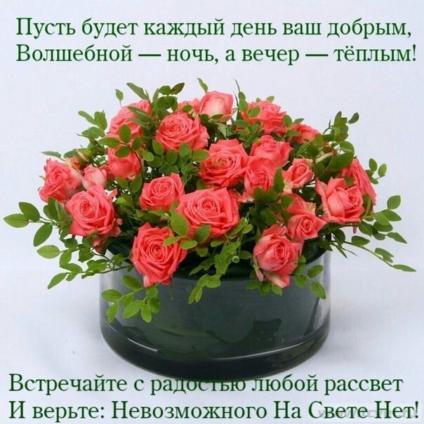 Пусть будет каждый день ваш добрым Волшебной ночь вечер тёплым Встречайте с ра юбой рассвет И верьте Невозможного На Свете Нет