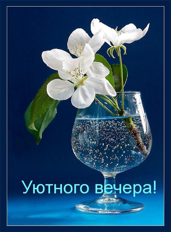 Уютного вёёчеа!