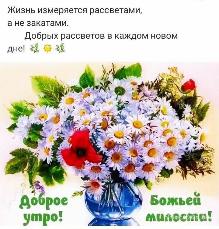 Жизнь измеряется рассветами а не закатами Добрых рассветов в каждом новом дне Ё