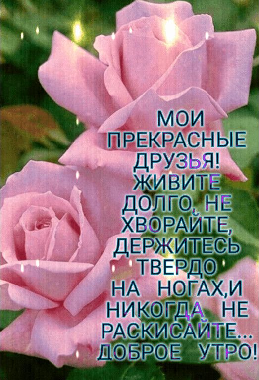 _ мои шРЕкРАСНЫЕ дРу3__ ч хвтРА ИТЕ ДЕРЖИТЕЬ ТВЕРДФ
