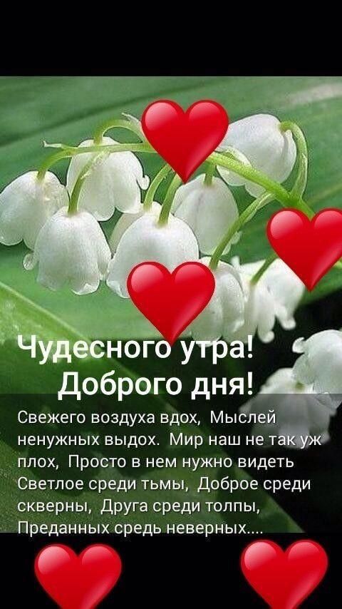 Доброго дня Свежего воздуха вдох Мыслей ненужных выдох Мир наш не ТМ плох Просто в нем нужно видеть Светлое среди тьмы доброе среди скверны Друга среди толпы Преданных средь неверных Р