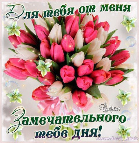 Сии іёЯг ШИВЧЭЩЭЛЬНОРО швбё гДня аггь