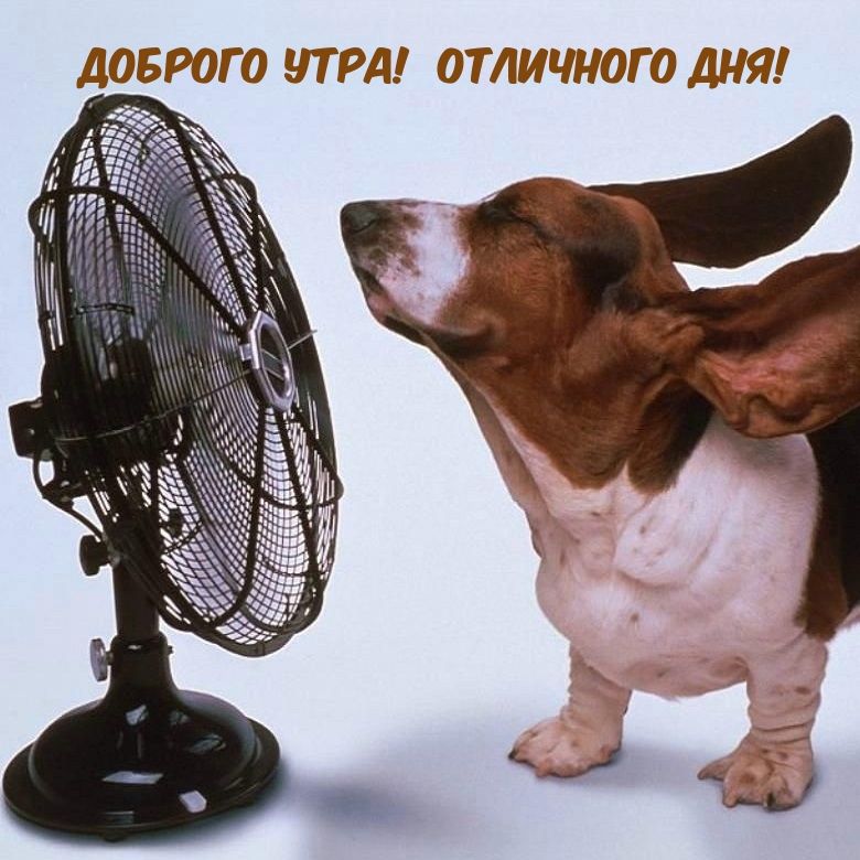 ДОБРОГО ПРД ОТЛИЧНОГО ДНЯ