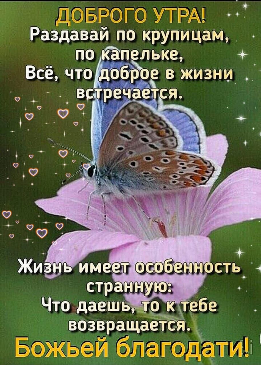 доврого УТРА Раздавай по крупицам по капелька д Всё что доброе в жизни_ впречается ВОЗВРЗЩЕТСЗ Божьеи благодатиъ