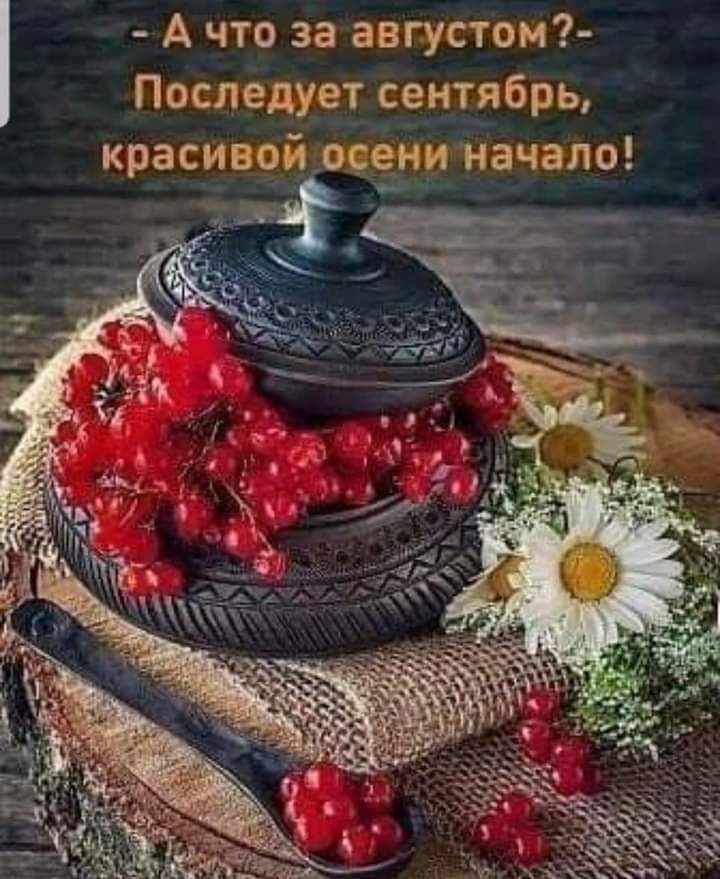 А что за августом Последует сентябрь красивой осени начало _ _ _