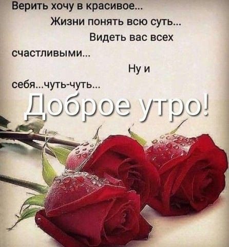 Верить хочу и красивое Жизни понять всю суть Видеть вас всех счастливыми Ну и себячуть чуть