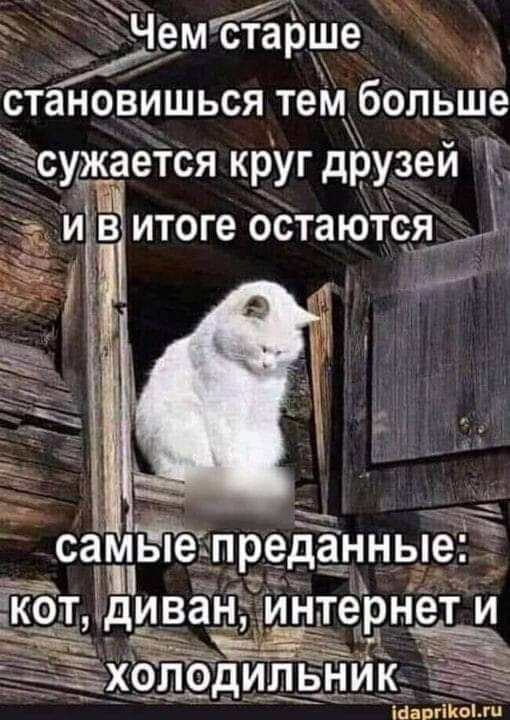 хЧемстарще станов ишься тем больще узка еТся круг дРУзей витоге остаются