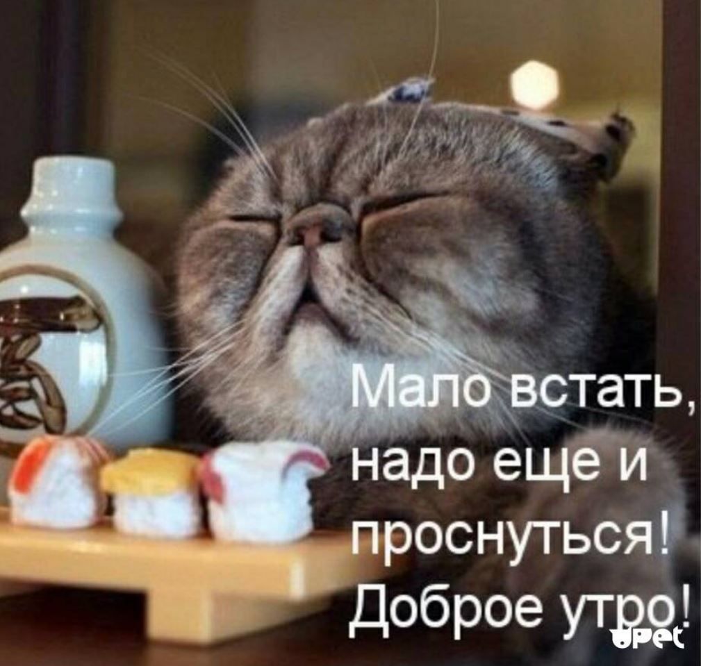 Ёпроснуться Доброе
