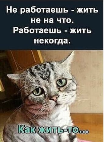 Не работаешь жить не на что Работаешь жить некогда