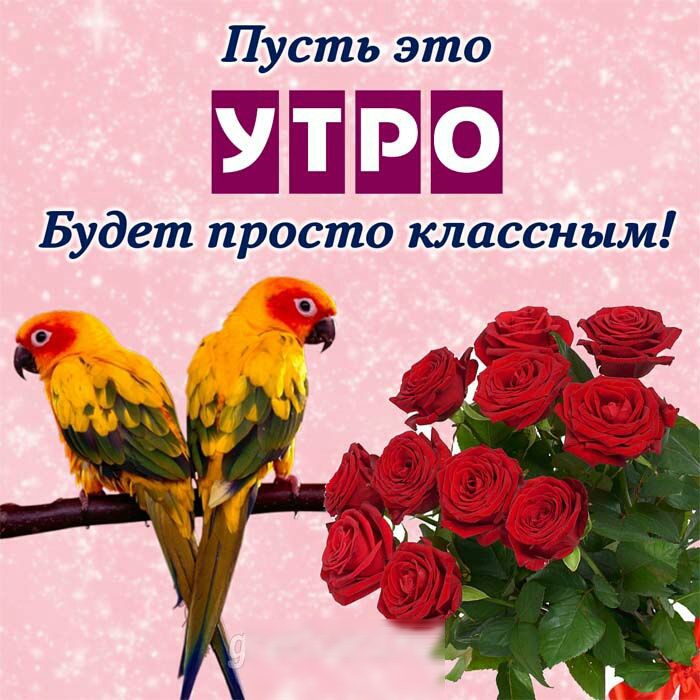 Пусть это ШПШШ Будет просто классным